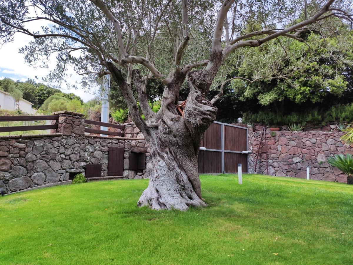 Casa Bados Villa Dorgali Bagian luar foto