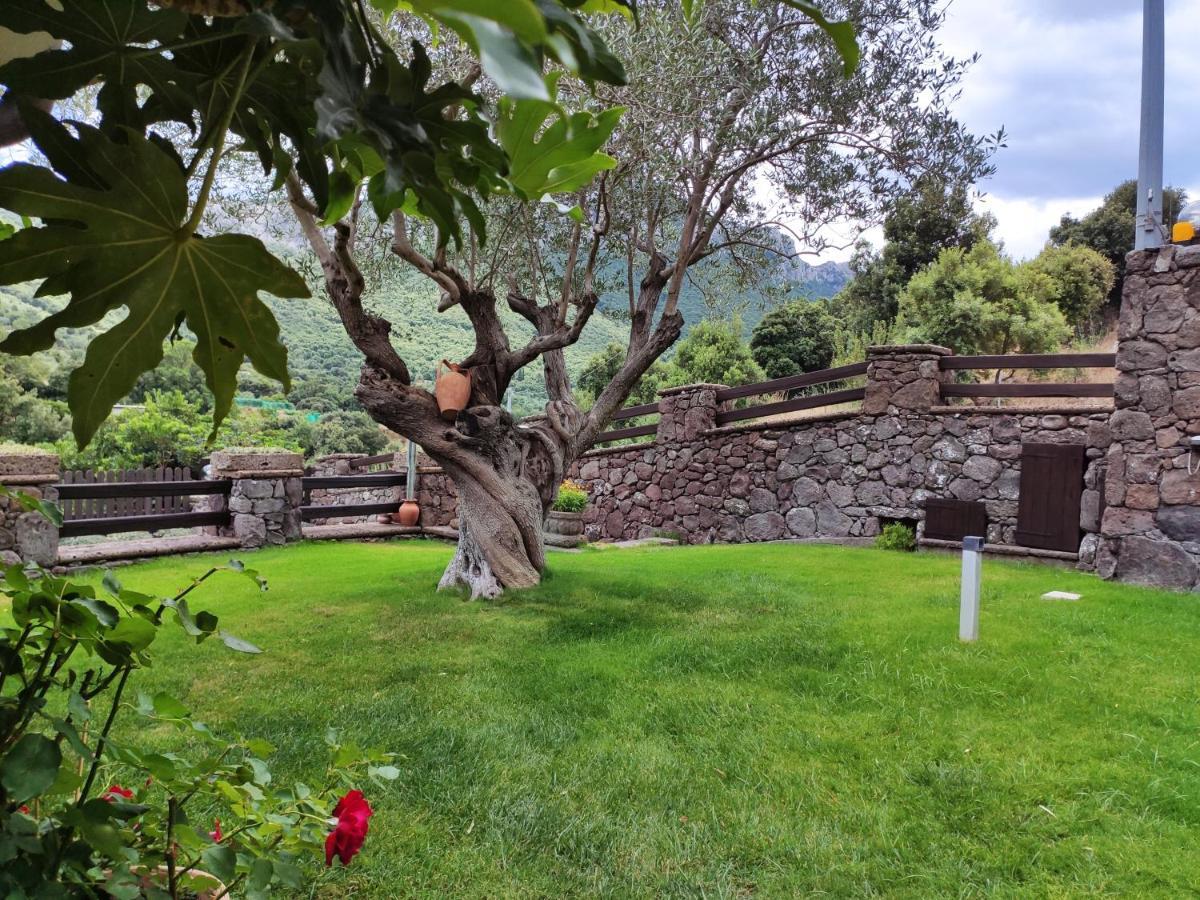 Casa Bados Villa Dorgali Bagian luar foto